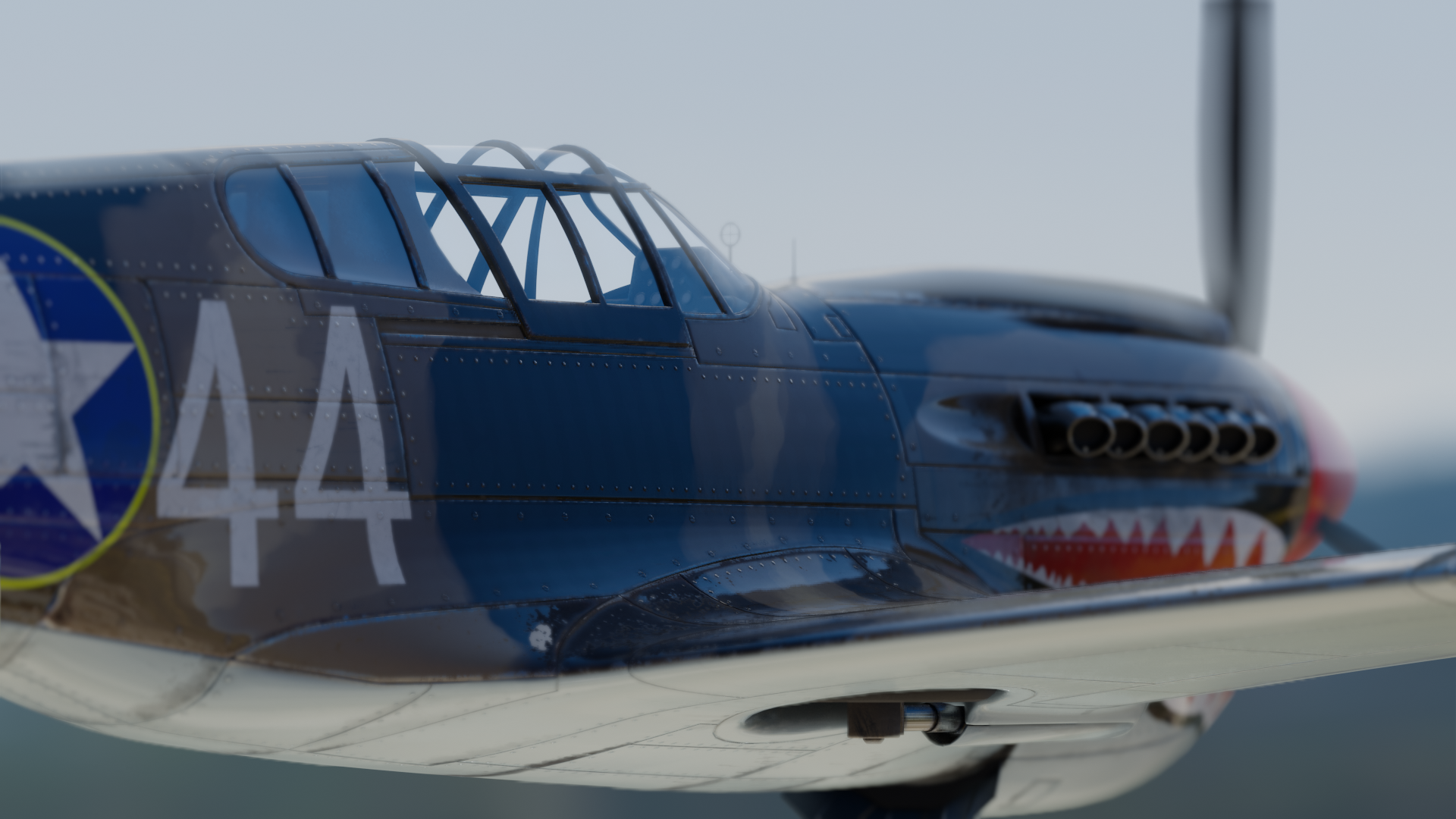 P40 Warhawk preview image 7